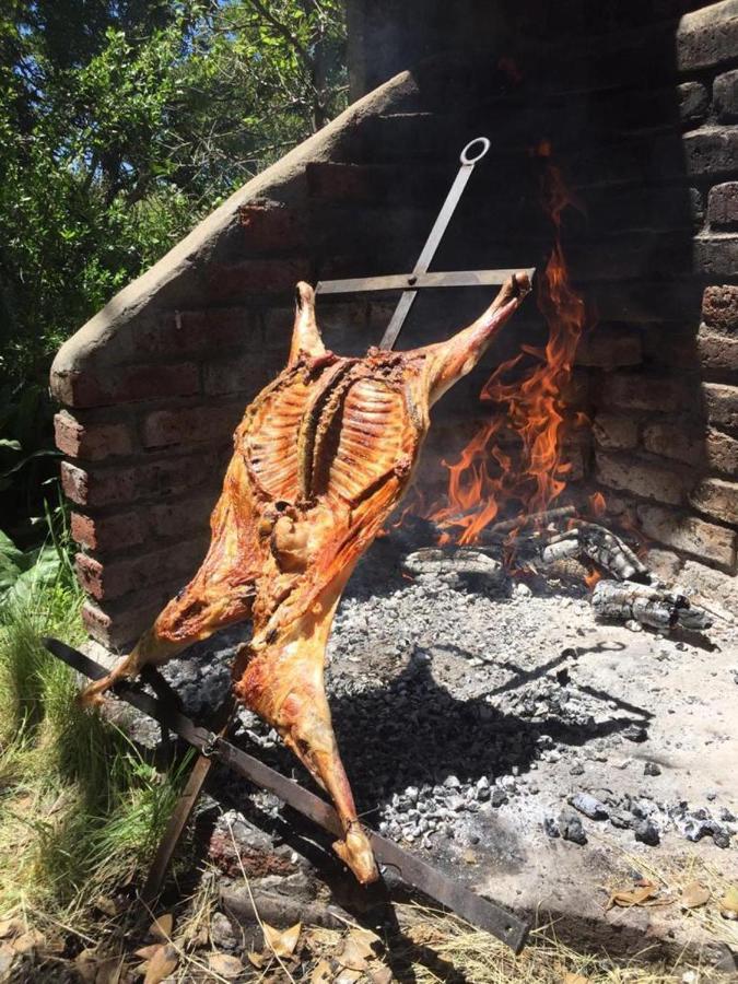 Estancia Quillen Lodge - Hosteria Aluminé 外观 照片