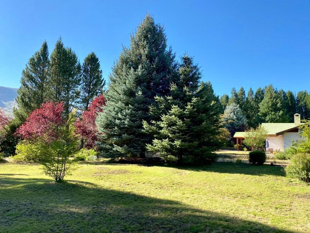 Estancia Quillen Lodge - Hosteria Aluminé 外观 照片